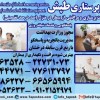پرستار سالمند،پرستار کودک،پرستار بیمار