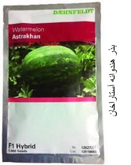 بذر هندوانه آستاراخان محصول شرکت سینجنتا