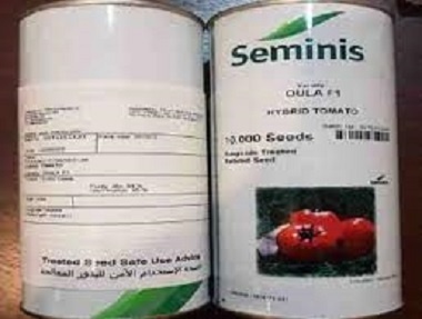 فروش بذر گوجه فرنگی