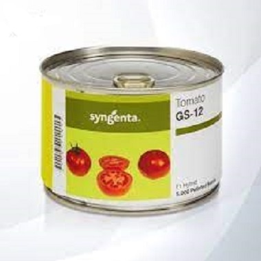 فروش و پخش عمده و خرده بذر گوجه جی اس 12 سینجنتا