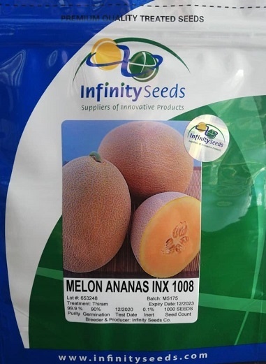 فروش بذر ملون آناناس 1008 اینفینیتی سیدز