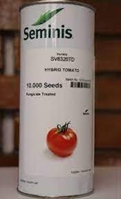 فروش بذر گوجه 1585