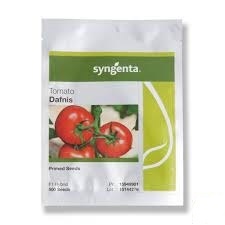 فروش و توزیع عمده و خرده بذر گوجه دافنیس سینجنتا