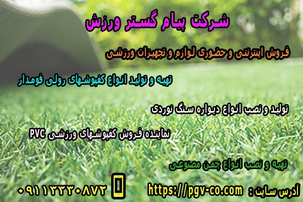 شرکت پیام گستر ورزش -   تولید و فروش اینترنتی و حض
