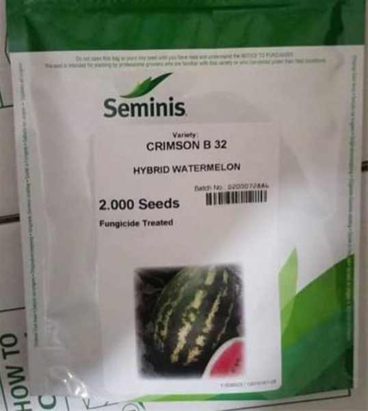 فروش بذر هندوانه بی 32