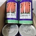 قیمت بذر هویج دورین