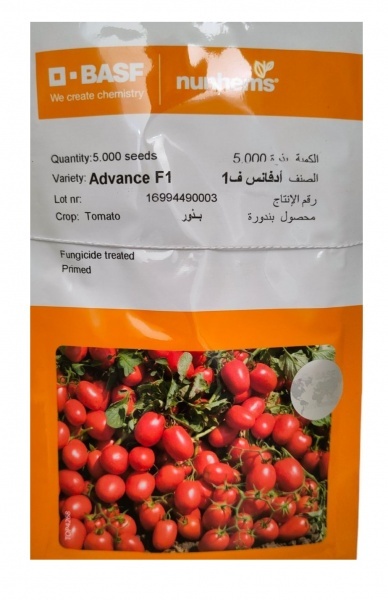 بذر گوجه ادونس ( بذر گوجه فرنگی Advance )