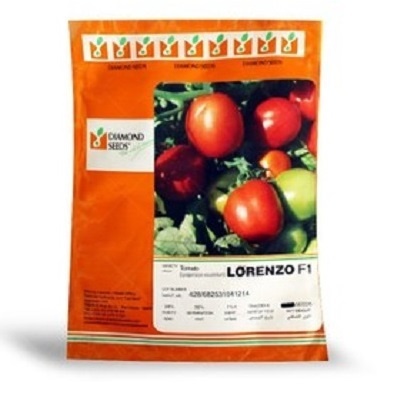 فروش بذر گوجه لورنزو