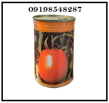 توزیع و فروش بذر گوجه مالکوم عمده و خرده ارسال