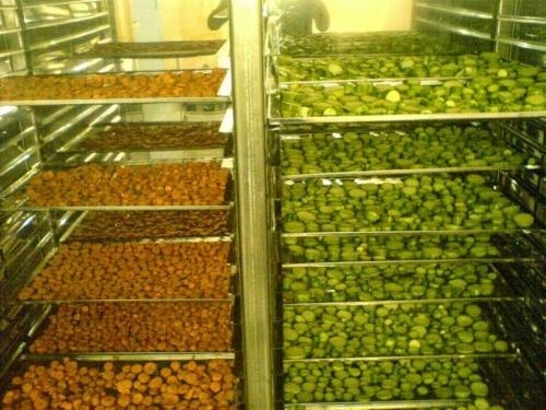 فروش انواع دستگاه های خشک کن میوه و سبزی