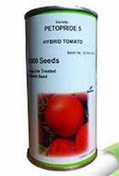 فروش بذر گوجه پتوپراید 5