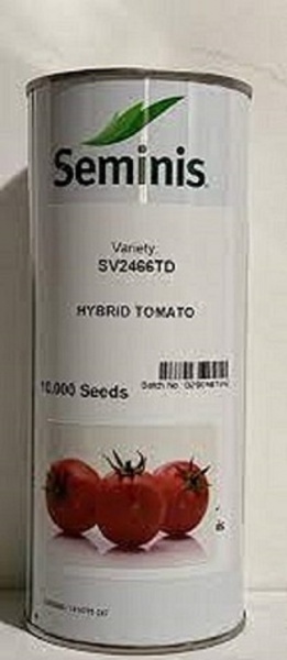 قیمت بذر گوجه 2466 sv