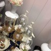 ظروف کرایه گل بانو